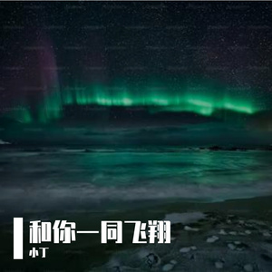 和你一同飞翔