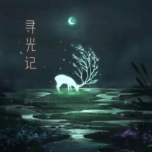 寻光记