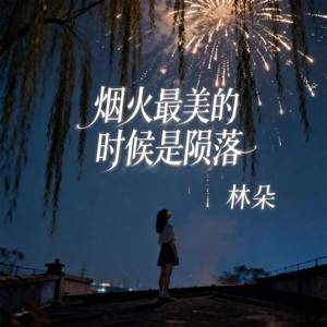烟火最美的时候是陨落