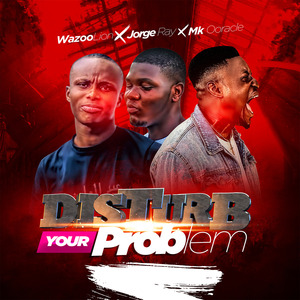 Disturb Your Problem