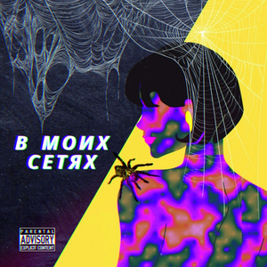 В Моих Сетях