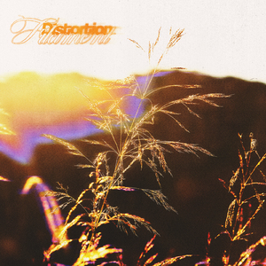 ディストーション