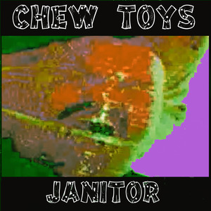 Janitor