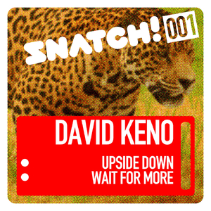 Wait For More (Original Mix)