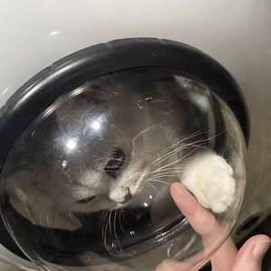 9iklll-遇见你（9iklll remix）