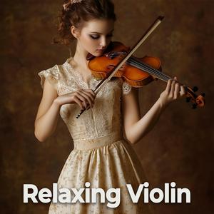 Say You Won't Let Go