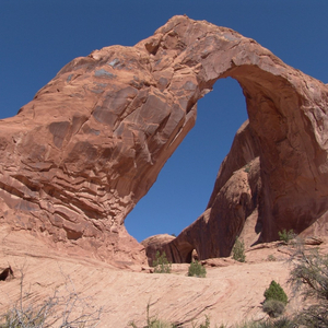 Dance the Trance at the Desert
