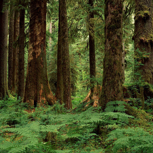 钞票越来越难赚