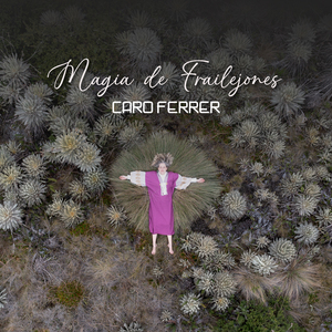 Magia de Frailejones