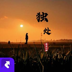 独处（纯音乐）