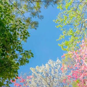 《六月午后的悠然之章》