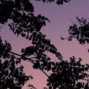 新老钟表大声 (1)