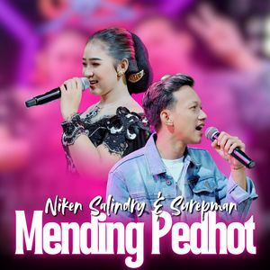 Mending Pedhot