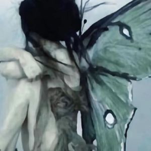 樱花飘落后你还是没回到我身边