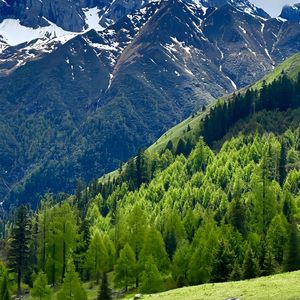 《复古放克贝斯律动的潮流时尚密022