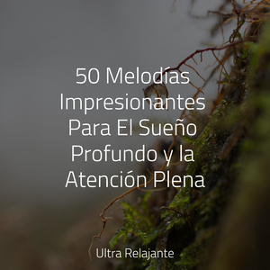 El Estrés Desaparece Para Siempre