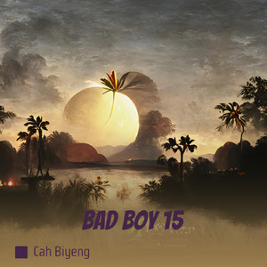 Bad Boy 15