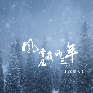 风雪压我两三年