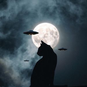 【FREE】"黑夜"