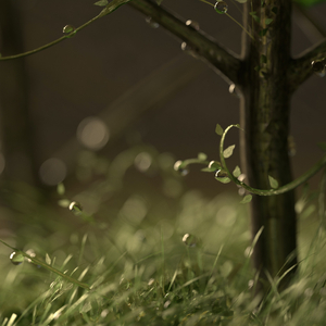 Rain Storm in a Reservoir