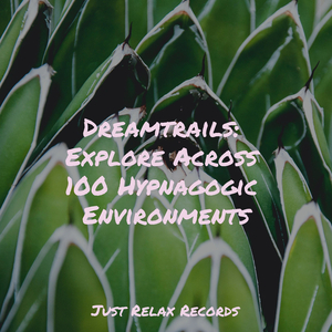 Lucid Moonlit Symphony