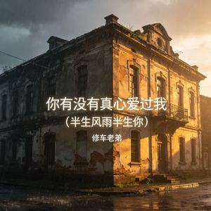 你有没有真心爱过我（半生风雨半生你）