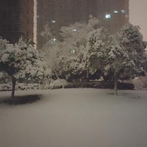 初中最后一场雪