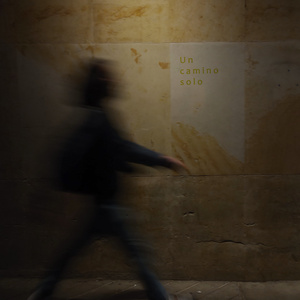 Un camino solo