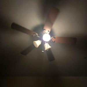 Bedroom Ceiling Fan