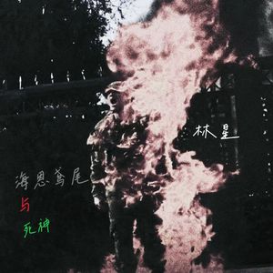海恩鸢尾与死神