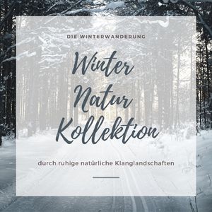 Der Schnee fällt sanft