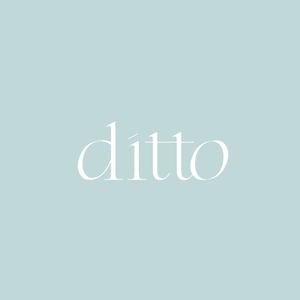ditto 中文版