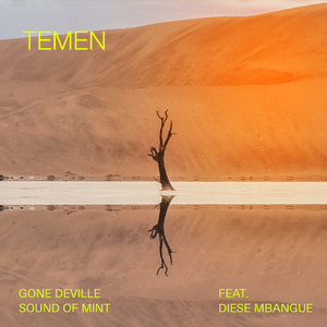 Temen (Radio Mix)