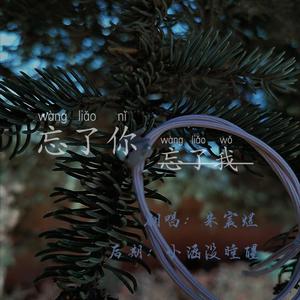 忘了你忘了我（翻自 林俊杰 王杰）