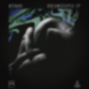 Black Turtle (Wraz. Remix)