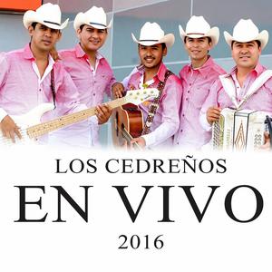 Popurri Huapachangoso (En vivo)