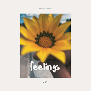 Feelings (Remix)