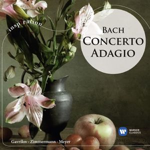 Violin Concerto No. 2 in E Major, BWV 1042:II. Adagio