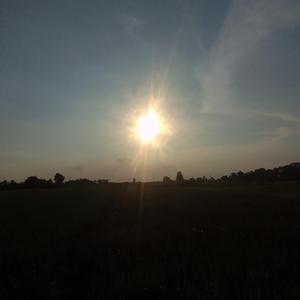 rajbanshi