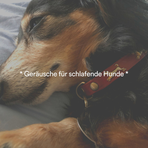 Kuscheliger Shih Tzu-Schlaf