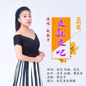 走就走吧