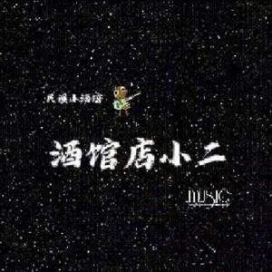 张过年-酒馆店小二 - 深夜的歌~1（酒馆店小二 remix）