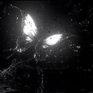 Fantasia of Aquarius