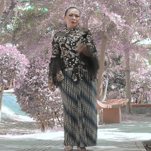 Aja Ngebo