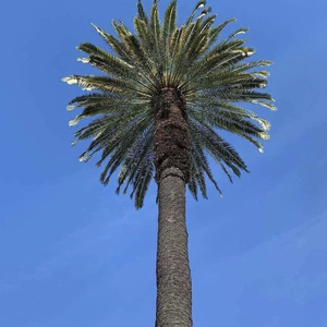 张韶涵-淋雨一直走 x One time（HR4a remix）