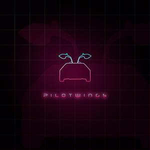 Pilotwings