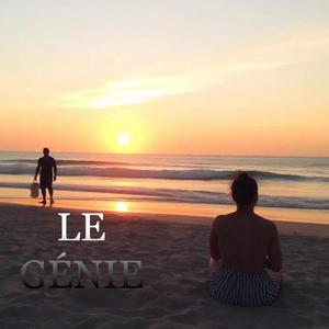 le génie