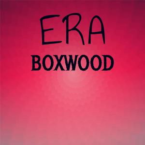 Autoregulation Considers