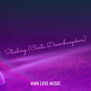 Stashing (Cinta Disembunyikan)