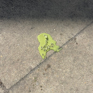 A Spill Is Not Graffiti